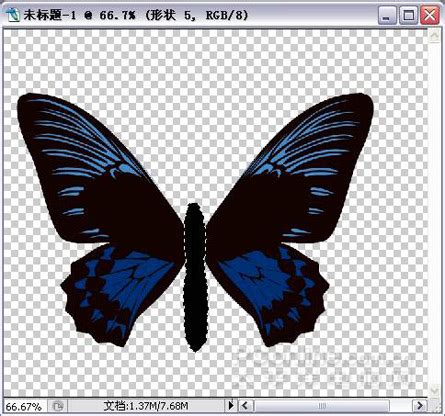 教你如何手绘画一只逼真的蝴蝶的DIY教程-易控学院