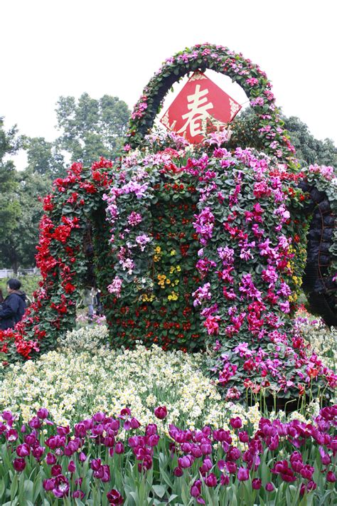 香港花卉展“心花放”：小女孩、大绿象、炫彩骏马带你徜徉春天！|图片来源|花卉|东方_新浪新闻