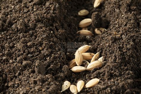 农业土壤种植肥料生产用于农工业的土壤耕高清图片下载-正版图片504393957-摄图网