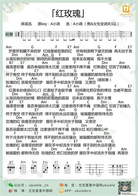红玫瑰吉他谱 陈奕迅 C调弹唱谱 附视频演示-吉他谱中国