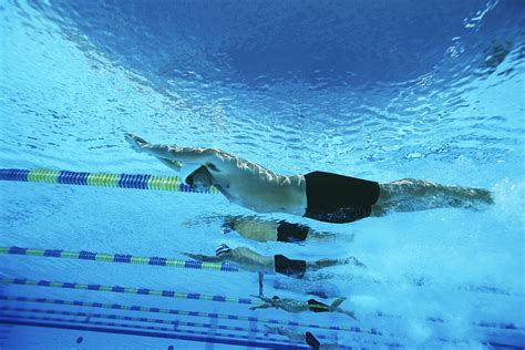 人 人的 男子 男性 游泳 水 湿 散热 降温图片下载 - 觅知网