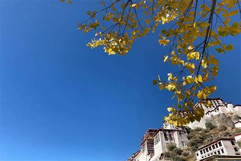 什么季节去拉萨旅游最好（什么季节去拉萨是最好的）(几月份去西藏最好?什么时候去西) | 布达拉宫