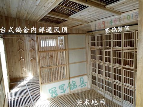 我的鸽舍 仅供欣赏-中国信鸽信息网相册