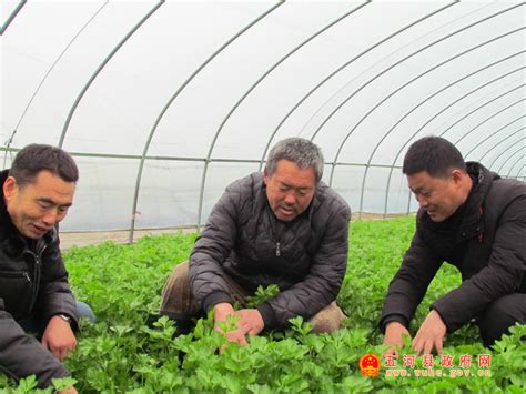 中华人民共和国农民专业合作社法全文 - 律科网