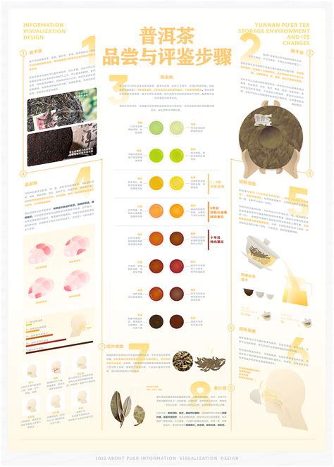 About Puer Infographic Design 普洱茶信息可视化设计_LuckEvan-站酷ZCOOL