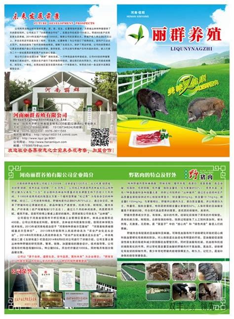 生态养殖宣传海报_红动网