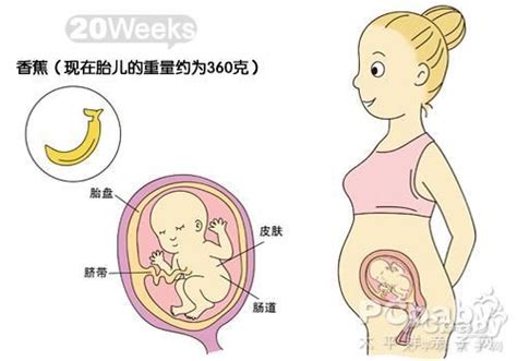 2022年12月份出生的宝宝取名,2021年12月怀孕2022年几月生？_2345实用查询