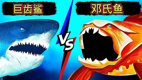 巨齿鲨VS邓氏鱼，谁才是海洋霸主呢？ #“知识抢先知”征稿大赛#