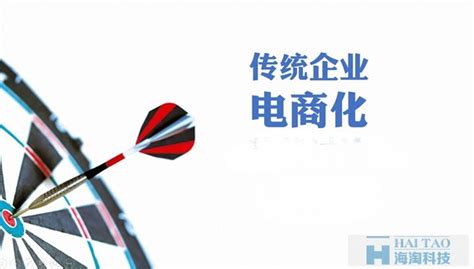 关于上海传统企业电商网站建设一些想法-海淘科技