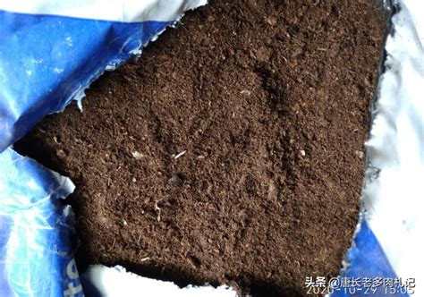 纯泥炭土有机黑土花土种植腐殖土草炭营养土种花多肉种菜泥土肥料-淘宝网