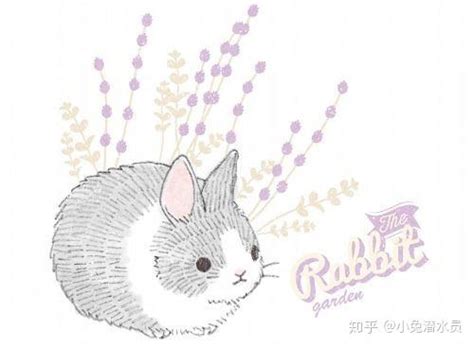 仙气十足的兔兔名字 给宠物兔子取名字非常受主人的芳心_知秀网