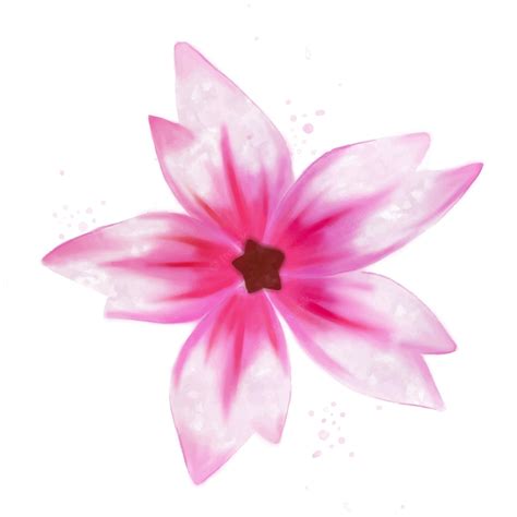 Vector acuarela rosa flor textura flor aislada | Vector Premium