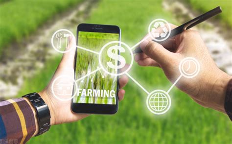 物联网助力智慧农业 让农民成为科技工作者-山东蚂蚁数据技术有限公司