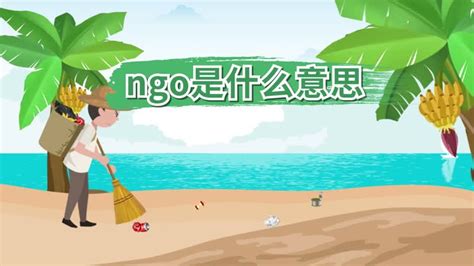 ngo在中国（NGO在中国是什么意思）