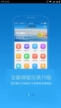 枣庄银行下载2020安卓最新版_手机app官方版免费安装下载_豌豆荚