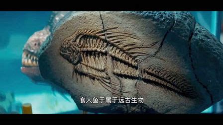 《食人鱼3D》-高清电影-完整版在线观看