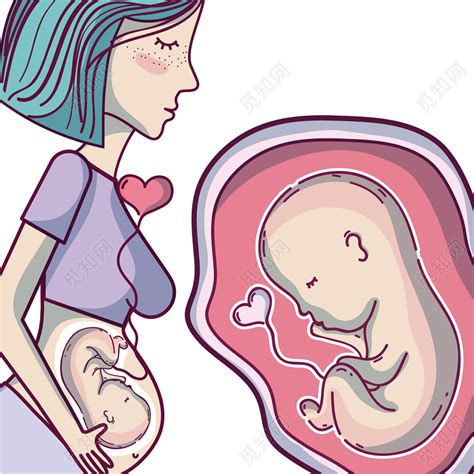 7个月胎儿图片的样子 7个月胎儿图片大全 - 苗苗知道 - 第 2 页