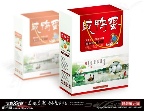 高档咸鸭蛋包装盒设计图片_包装_编号10144355_红动中国