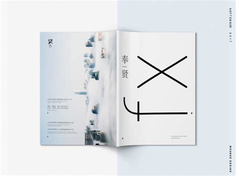 奉贤区招商宣传册-上海眸社设计_上海专业的VI设计,宣传册设计,画册设计,折页设计公司