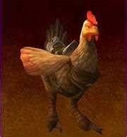魔兽世界魔法公鸡坐骑怎么得 魔法公鸡坐骑攻略-魔法公鸡-气泡游戏网
