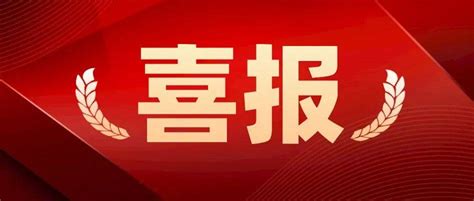 广西柳州市质量服务“一站式”网上平台全新上线-中国质量新闻网