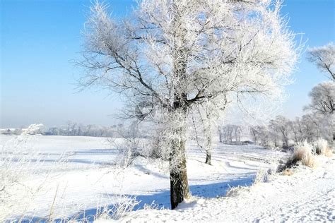 冬天美丽的雪景 高清图片下载-正版图片500672496-摄图网