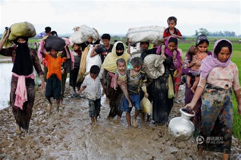 缅甸战乱:数十万难民逃往孟加拉国和中国-中国国际移民研究网 / 山东大学移民研究所