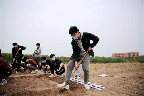 下地种菜可以拿学分，天津大学学生开耕校内10亩“责任田”_凤凰网