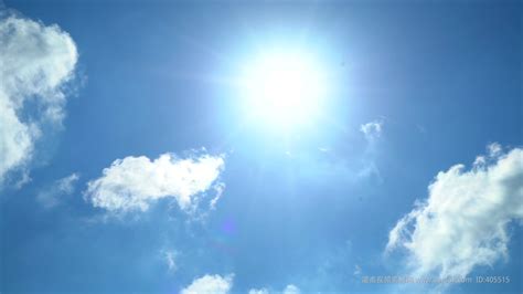 4K阳光照射透光的绿叶初夏唯美意境空镜实拍视频视频特效素材-千库网