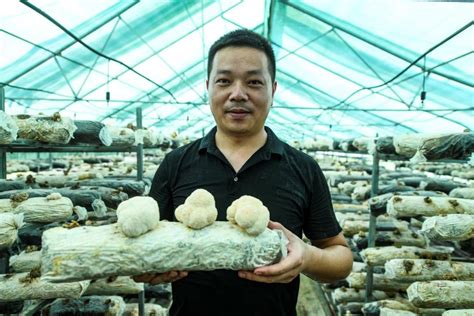 湖北垄上频道报道：他把蘑菇“玩出花”，年销8000万元--湖北省农业农村厅