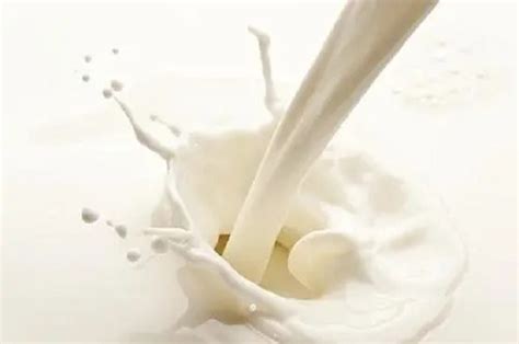 什么是生牛乳？与鲜牛奶、纯牛奶的区别是什么？_加工