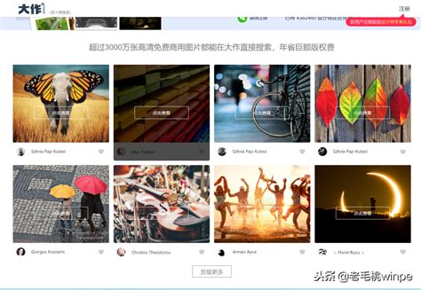 免费的网站模板下载网站有哪些 (可视化网站模板)-北京四度科技有限公司