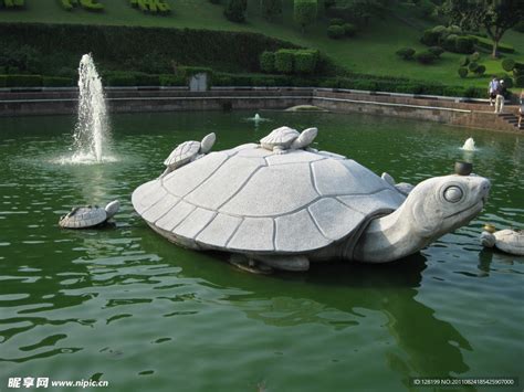 石龟雕塑图片_石龟雕塑设计素材_红动中国
