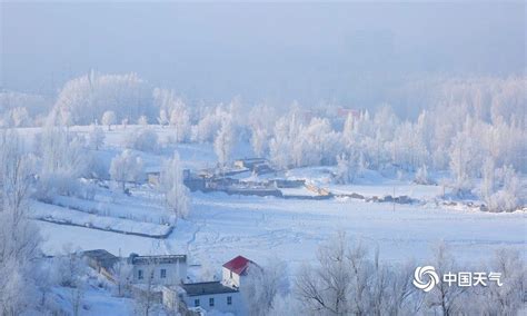 新疆阿勒泰雾凇恍如仙境-图片频道-中国天气网