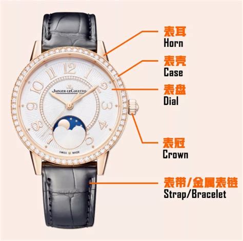 表冠在哪个位置（手表的基础结构你了解多少）-蓝鲸创业社