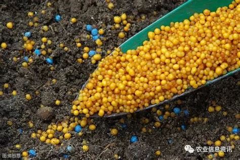 各种肥料的营养功能__凤凰网