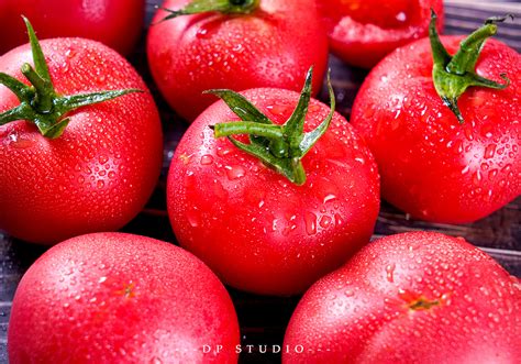西红柿是什么植物？ - 蜜源植物 - 酷蜜蜂