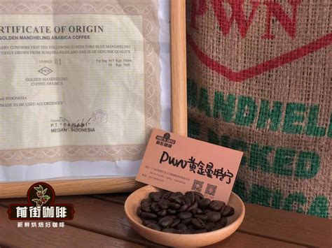 印尼曼特宁精品咖啡豆 咖啡豆烘培 曼特宁咖啡品质 曼特宁咖啡的 中国咖啡网 05月20日更新