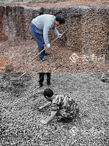 古人吃剩的螺蛳壳堆成一座山 云南遗址下埋着6.5米厚的螺蛳壳_梨抖网