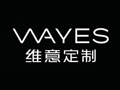 维意定制(WAYES)标志Logo设计含义，品牌策划vi设计介绍