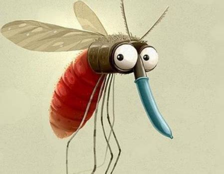 卡通拟人蚊子5素材图片免费下载-千库网