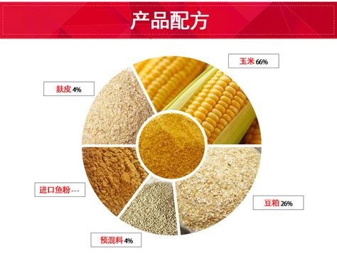 中国饲料营养大数据分析平台研制