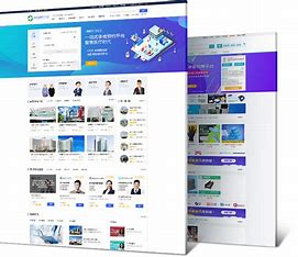 阜阳网站seo优化 的图像结果