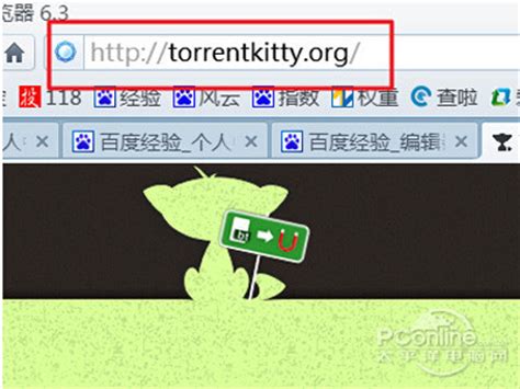 torrentkitty打不开怎么办-太平洋IT百科