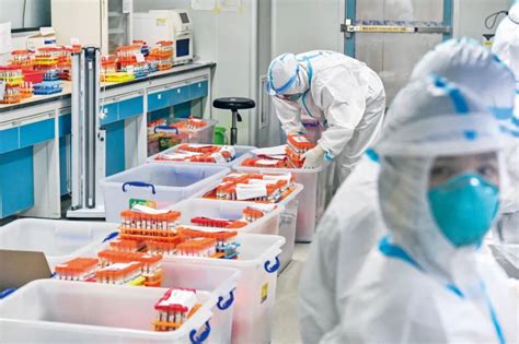 金域医学完成澳门第三轮全检超52%核酸检测量_中华网