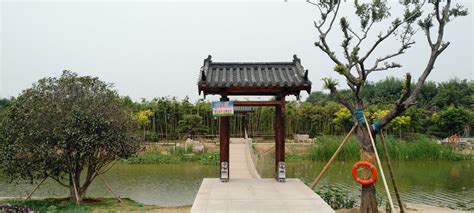 邯郸肥乡游记十四，肥义公园风景组图，公园北门和儿童乐园