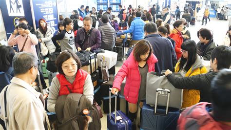 日籍华人想回国避难，不料惨遭拒绝，网友回应：不欢迎！_回应_网友_华人