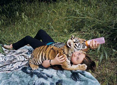 在动物园里，父亲肩上的小女孩正在喂长颈鹿高清图片下载-正版图片501460353-摄图网