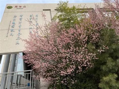 河北唐山外国语学校发布初中部招生信息