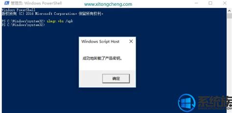 Win11激活产品密钥_Windows11永久激活教程 - 阳光系统站